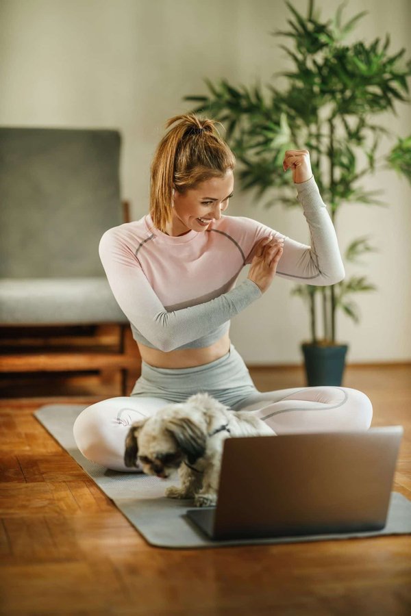 Wie leite ich Erste Hilfe bei einem Schockzustand meines Haustieres ein?