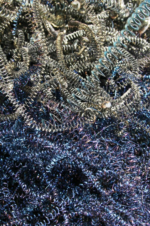 Wie entwickelt man eine App zur Verbesserung der kommunalen Mülltrennung?